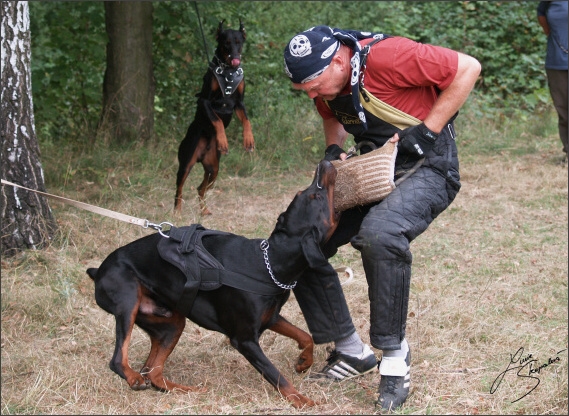 Summer training camp - Jelenec - 2007